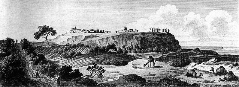 Truva Harabeleri, 1800'ler
